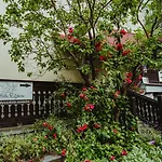 Bed & Breakfast Elzbieta - Komfortowy Wypoczynek, Znakomite Recenzje Gosci 3*