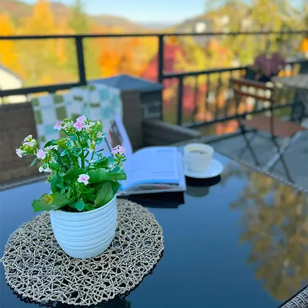 Elzbieta - Komfortowy Wypoczynek, Znakomite Recenzje Gosci 3*